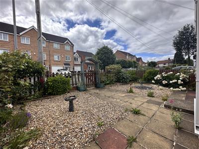 Picture 20